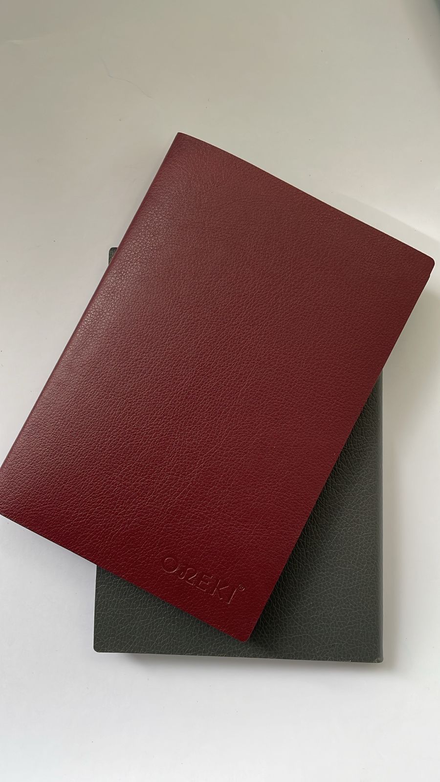 Ежедневник А6, ONEKI, ON-19201-36K АССОРТИ